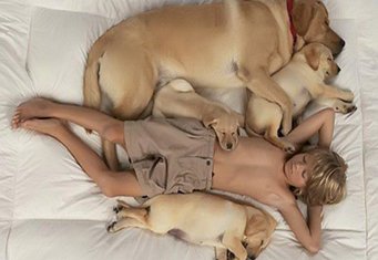 породы собак для детей