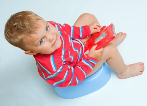 Как выбрать горшок