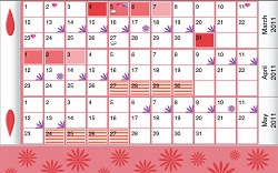 календарь менструального цикла