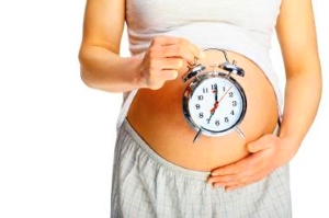 Развитие плода по неделям