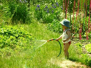 рослини для малюка